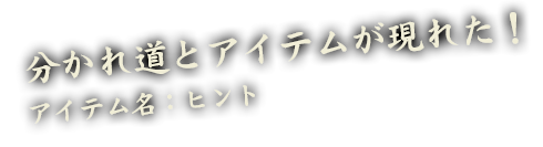 分かれ道とアイテムが現れた！アイテム名：ヒント