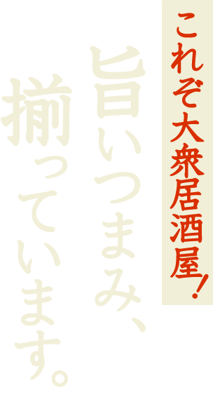 これぞ大衆居酒屋旨いつまみ、揃っています。